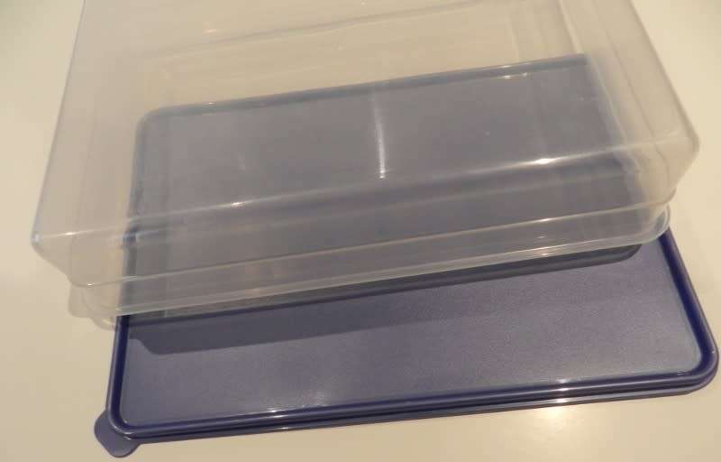 Addis Plastic Large Rectangular container server/saver with blue lid.