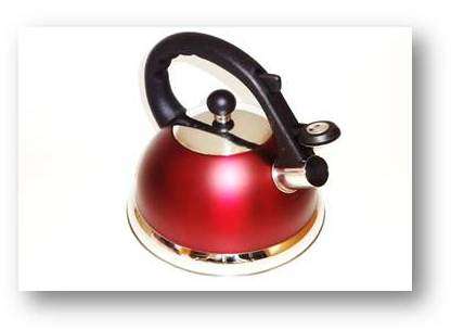 Whistling Water Kettle