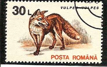 1993 30L Red Fox