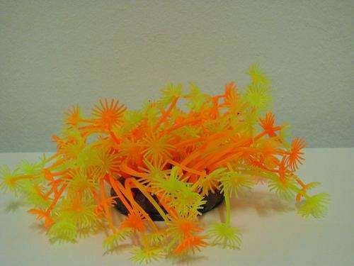 Real Aquarium Long Stem Daisy