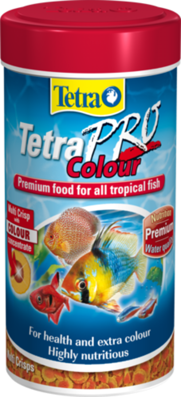 TetraPro Colour 100ml