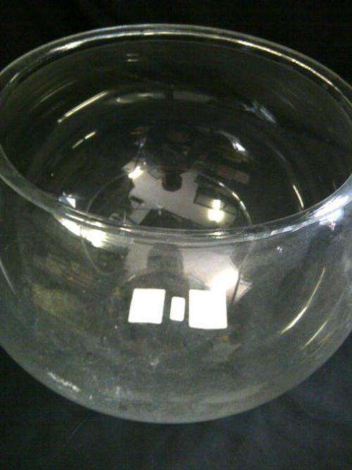 Fish Bowl Extra Large
