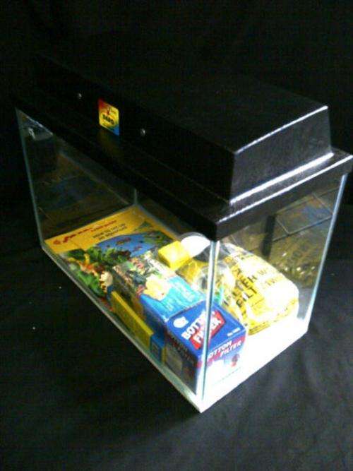 Goldfish Aquarium Starter Kit Complete with ALL accessories - CRAZY WEDNESDAY AUCTION!! NO RESERVE!!