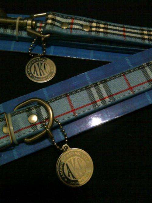 American Kennel Club Dog Collar and Leash Combo - CRAZY WEDNESDAY AUCTION - NO RESERVE!