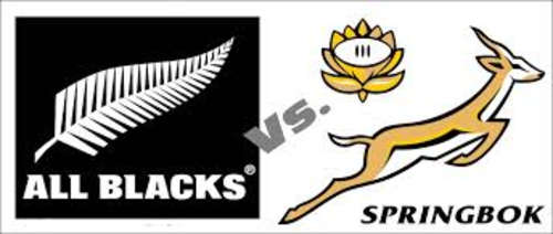 1 x Springboks vs All Blacks Rugby ticket - Sat 4 October @ Ellis Park