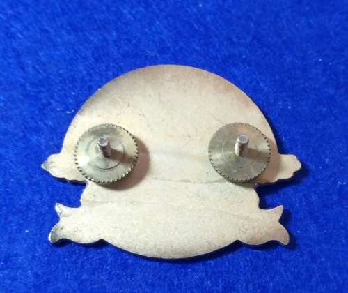 Cap Pin Badge - HOG Tygervalley Chapter - Harley Davidson - Harley Owners Group