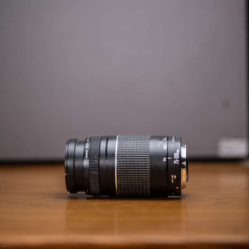 Canon 450D bundle