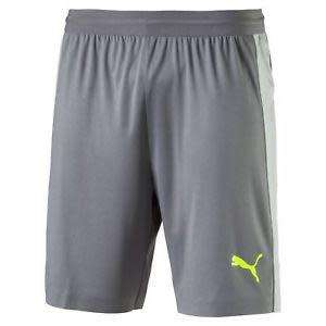 Puma shorts