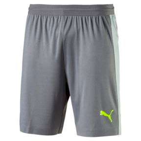 Puma EvoTRG Shorts