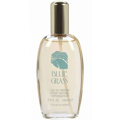 Elizabeth Arden Blue Grass EDP 100ml For Her