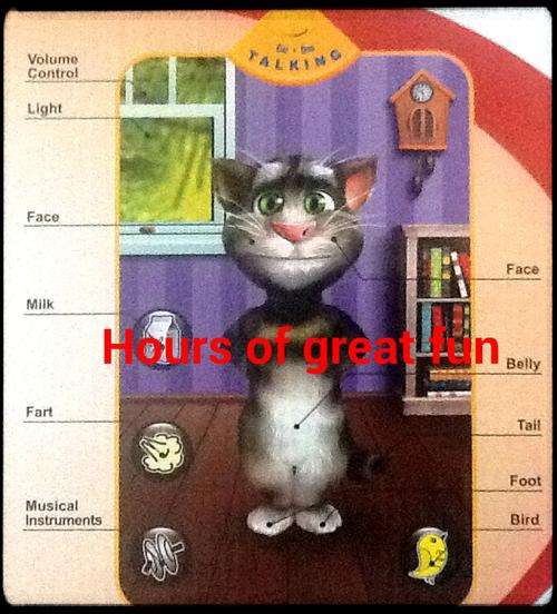 TOM THE TALKING PLAY MAT