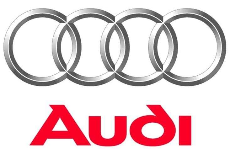 ELSAWIN V3.61 FOR AUDI - WORKSHOP INFO