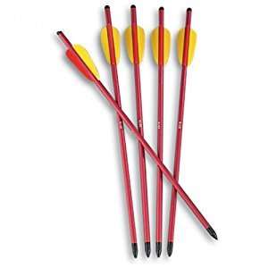 Aluminium Bolts Arrows | 20" INCH | Pack of 6