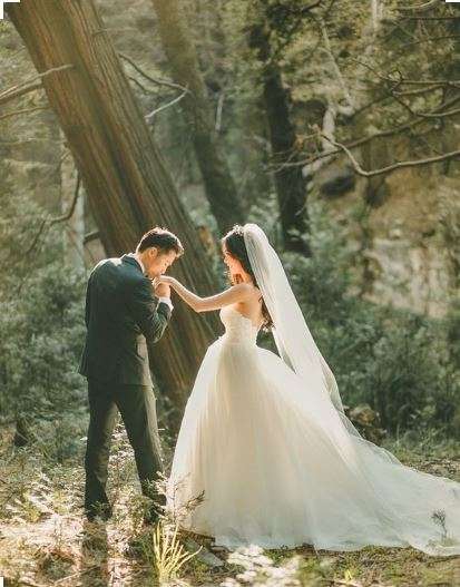ROMANTIC IVORY BRIDAL VEIL WITH FINISHED  EDGE - SOFT TULLE - 3 METRE - WITH COMB