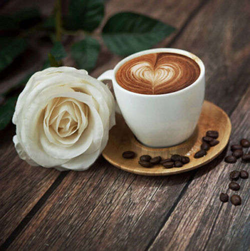 16pcs/set COFFEE CAPPUCCINO LATTE BARISTA ART STENCILS/ CAKE DUSTER TEMPLATES COFFEE TOOLS