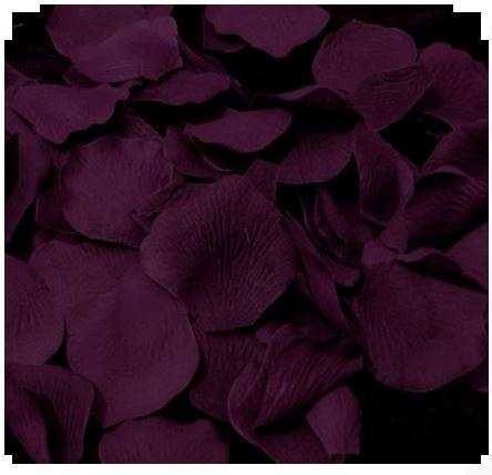 1 000 DEEP PLUM / CLARET  SILK ROSE PETALS - USE FOR CONFETTI/AISLE DECOR/PHOTO PROP/TABLE DECOR