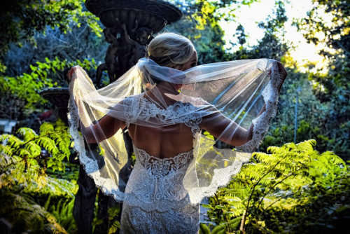 IVORY1 TIER CLASSIC ELBOW LENGTH BRIDE'S VEIL WITH LACE TRIMMING  WITH COMB - STUNNING