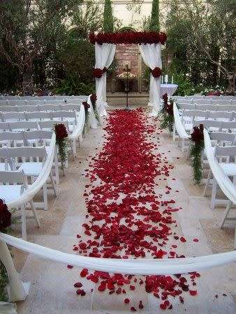 1 000  DEEP  RED SILK  ROSE PETALS - USE FOR PHOTO PROP/TABLE DECOR/ROMANTIC SETTING