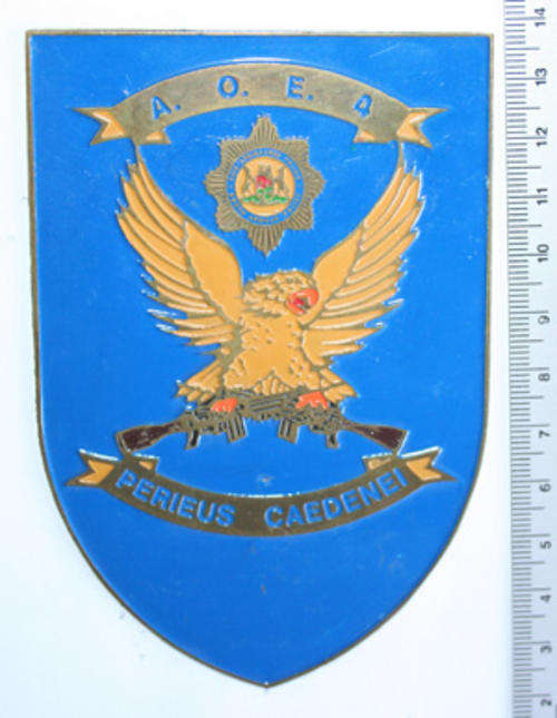 South African Police Riot Unit 4