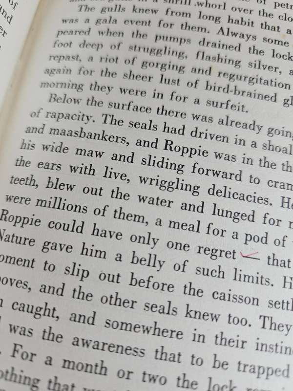 Stories South African by A. Lennox-Short & R.E. Lighton - Hardback