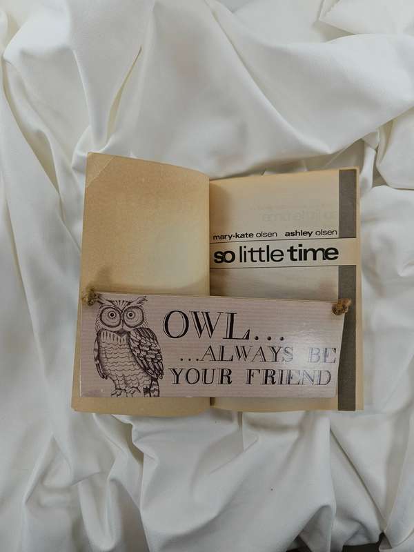 So Little Time (Best Friends Forever) by Mary-Kate & Ashley Olsen - Paperback