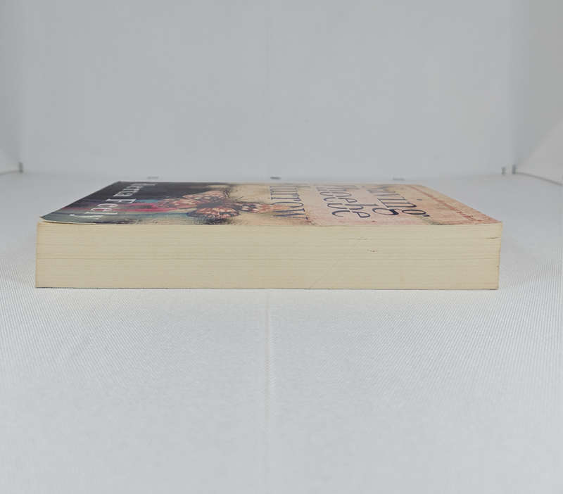 Saving Phoebe Murrow by Herta Feely - Paperback