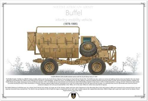 Buffel South African Army (PVA-3)