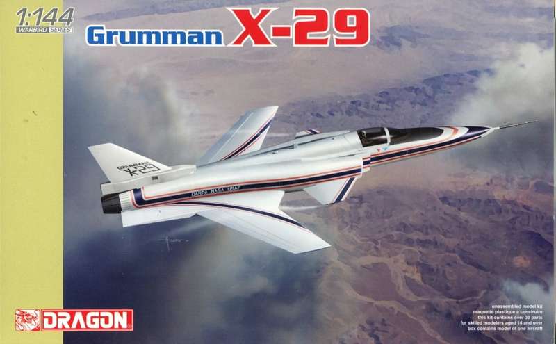 Grumman X-29 - 1/144 Scale (DN4643)(TH2102)(Dragon Models)