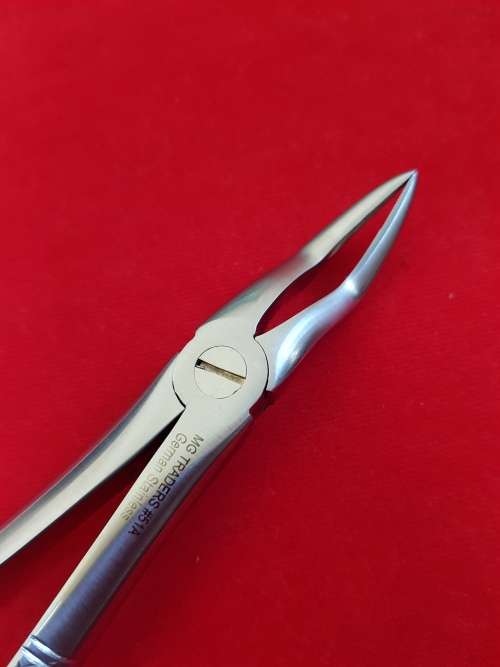 Extracting Forceps No51A  Upper Roots German Stainless Steel