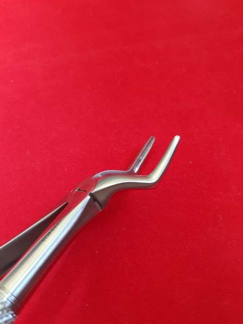 Extracting Forceps No51A  Upper Roots German Stainless Steel