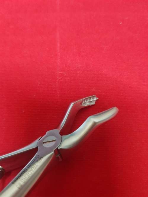 Kids Extracting Forceps no03 Upper Molars German Stainless Steel