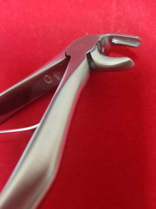 Kids Extracting Forceps no5 Lower Incisors German Stainless Steel