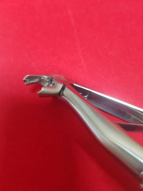 Kids Extracting Forceps no6 Lower Molars German Stainless Steel