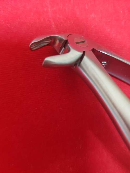 Kids Extracting Forceps no7 Lowe Roots German Stainless Steel