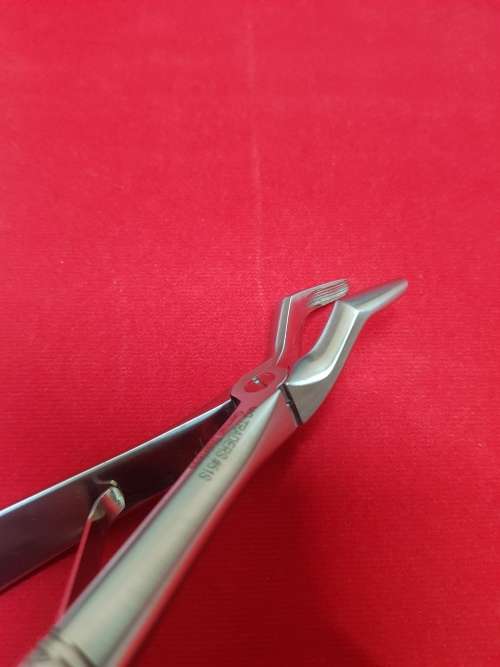Kids Extracting Forceps no151S Lower Incisor & Canines German Stainless Steel