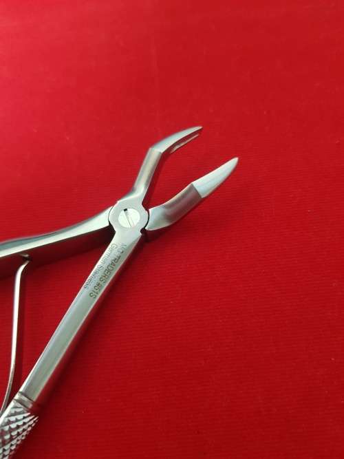 Kids Extracting Forceps no151S Lower Incisor & Canines German Stainless Steel