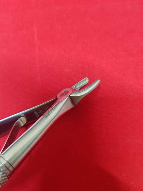 Kids Extracting Forceps no137 Upper Incisor German Stainless Steel