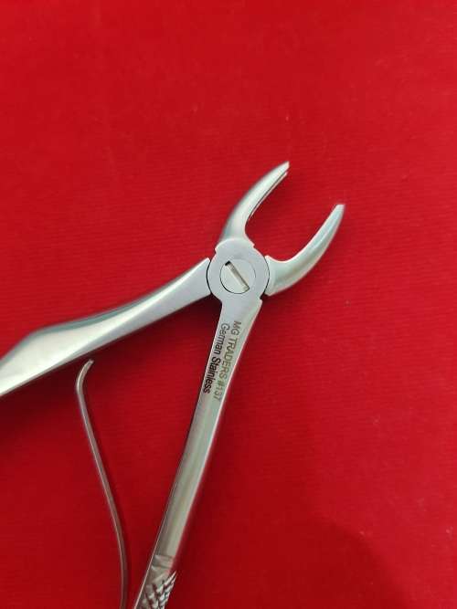 Kids Extracting Forceps no137 Upper Incisor German Stainless Steel