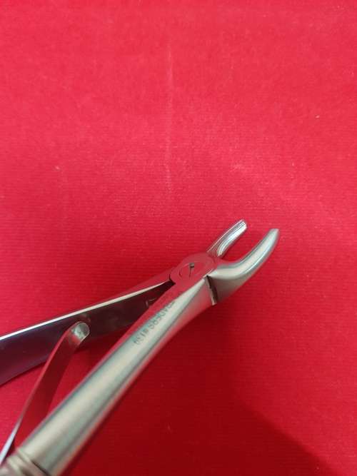 Kids Extracting Forceps no139 Upper Pre Molars German Stainless Steel