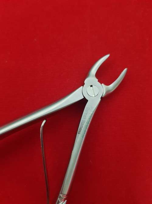 Kids Extracting Forceps no139 Upper Pre Molars German Stainless Steel