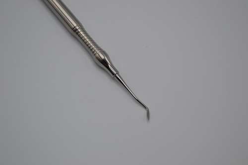 Scaler Carver German Stainless Steel