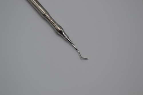 Scaler Carver German Stainless Steel