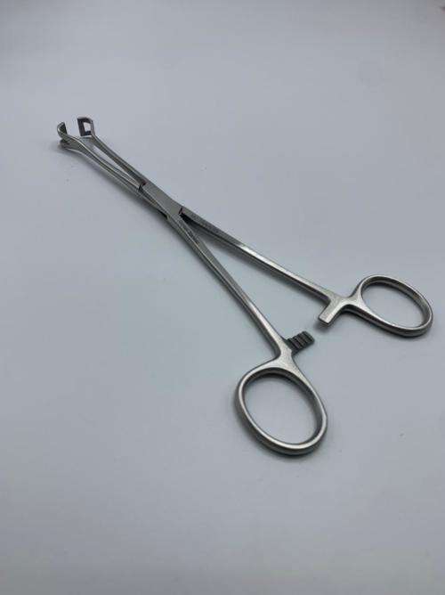 Babcock Tissue Forceps 20cm German Stainless Steel