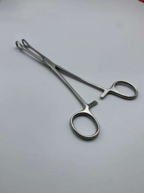 Sponge Holder Forceps 20cm German Stainless Steel