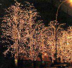 8m XMAS GARDEN TREE DRAPING LIGHTS
