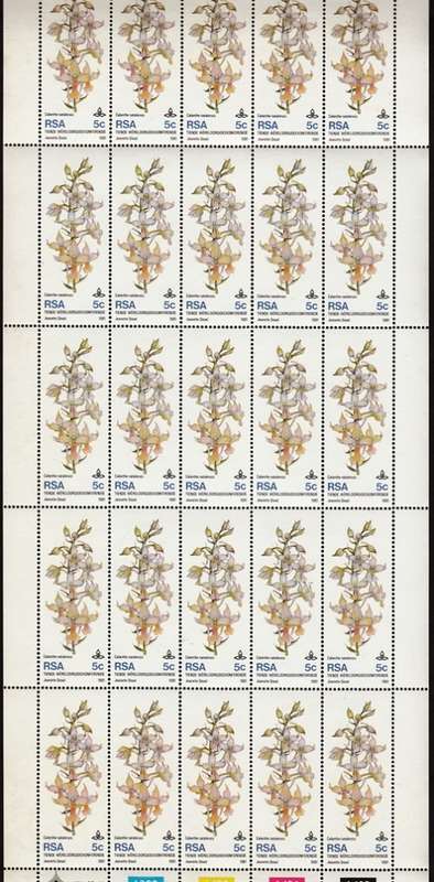 RSA 1981 10th WORLD ORCHID CONFERENCE 5c FULL SHEET OF 25 MNH (SACC 502)