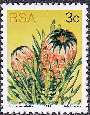 RSA 1977: 3rd DEFINITIVE ISSUE 3c MNH (SACC 420)