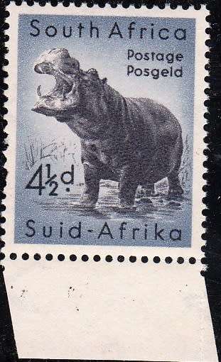 SA 1954: DEFINITIVE ISSUE MARGINAL 4½d HIPPOPOTAMUS MNH (SACC154)