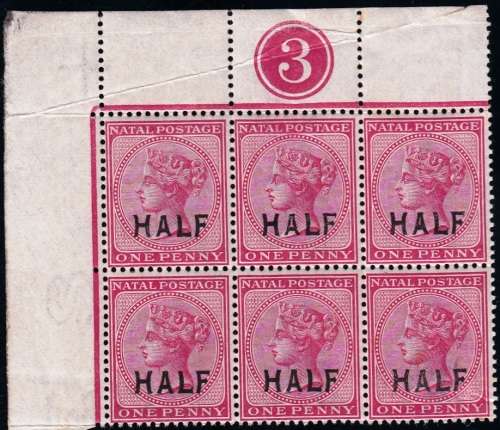 NATAL 1895: QV 1d SURCHARGED "HALF" PANE 3 BLOCK OF 6 MNH (SACC108)