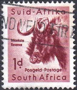 UNION OF S.A. 1954: DEFINITIVE ISSUE 1d WILDEBEEST USED (SACC 151)